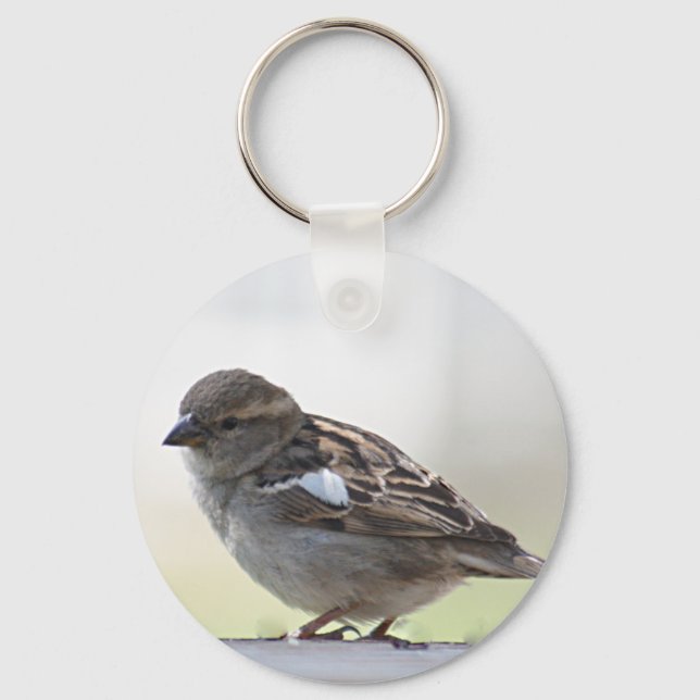 Sparrow photo keychain (Front)