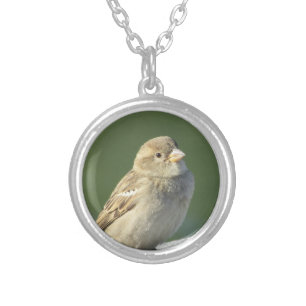 Sparrow Photo Nature Animal Small Brown Wild Bird Silver Plated Necklace
