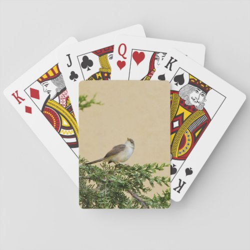 Sparrow  poker cards