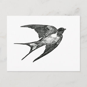 sparrow postcard