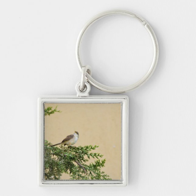 Sparrow Postcard Keychain (Front)