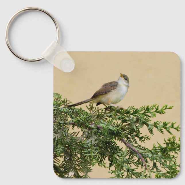 Sparrow Postcard Keychain (Front)