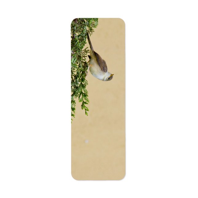 Sparrow Postcard Label (Front)