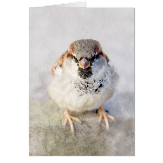 Sparrow - The Warrior Cards (Front)