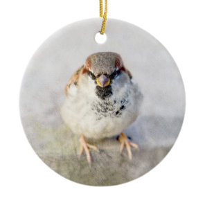 Sparrow - The Warrior Ceramic Ornament