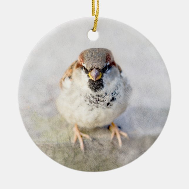 Sparrow - The Warrior Ceramic Ornament (Front)