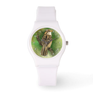 Sparrow Watch Little Bird