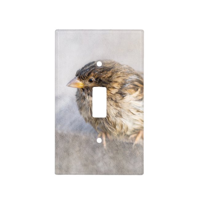 Sparrow - Weather Forecast Epic Fail Light Switch Cover (Front)