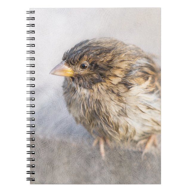 Sparrow - Weather Forecast Epic Fail Notebook (Front)