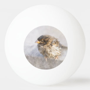 Sparrow - Weather Forecast Epic Fail Ping Pong Ball