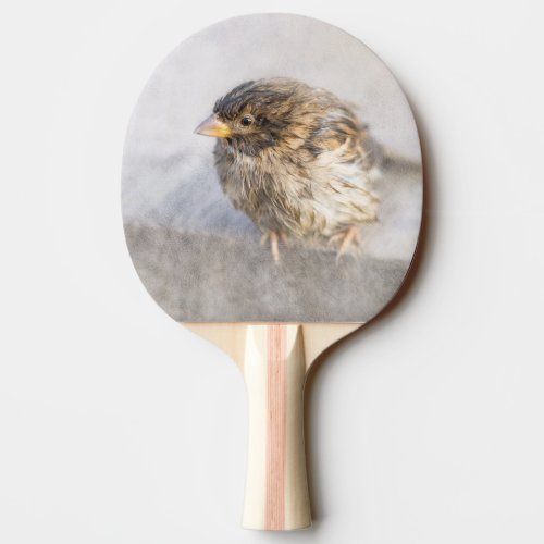 Sparrow _ Weather Forecast Epic Fail Ping_Pong Paddle