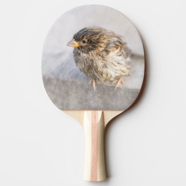 Sparrow - Weather Forecast Epic Fail Ping-Pong Paddle (Back)