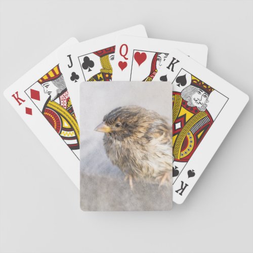 Sparrow _ Weather Forecast Epic Fail Poker Cards