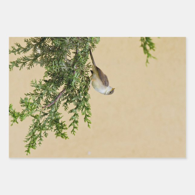 Sparrow  wrapping paper sheets (Front)