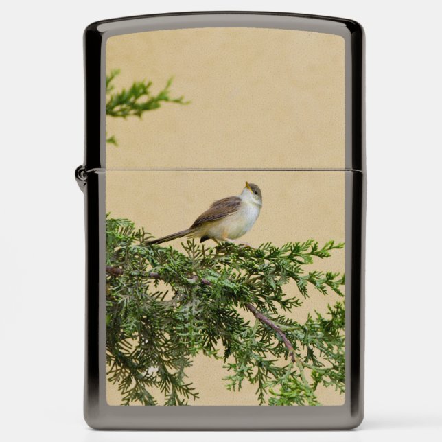 Sparrow  zippo lighter (Front)