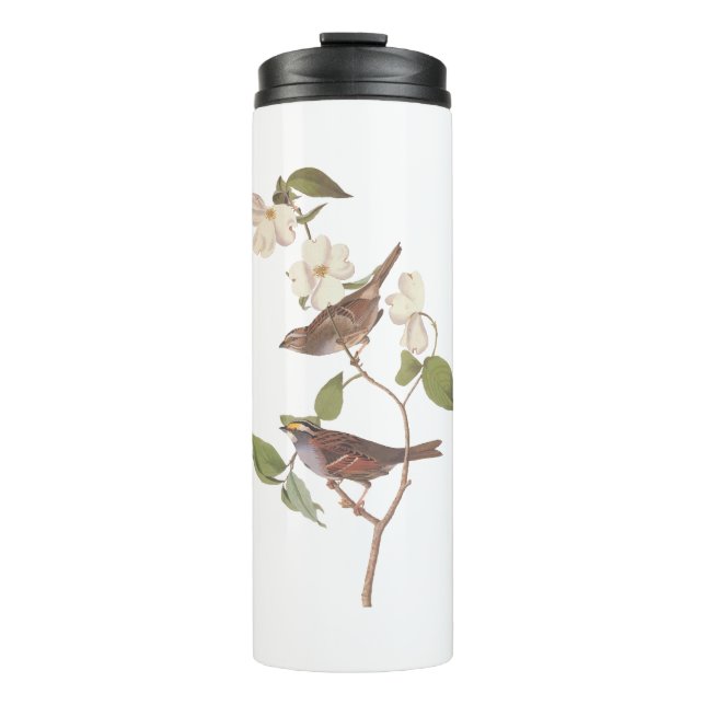 Sparrows and Dogwood Flowers vintage Audubon Thermal Tumbler (Front)