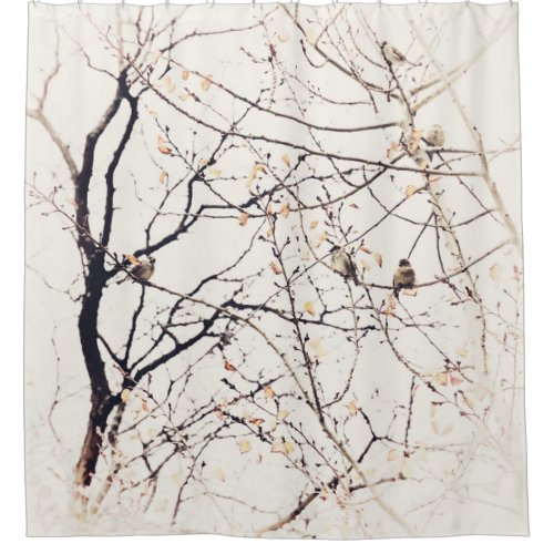 Sparrows in Tree Neutral Nature and Birds Shower Curtain
