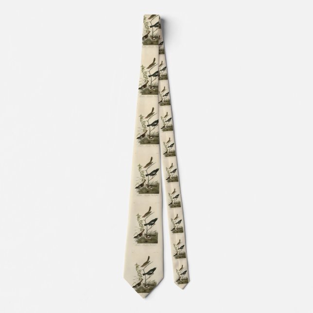 Sparrows, Lark Bunting, Audubon's Birds of America Neck Tie (Front)