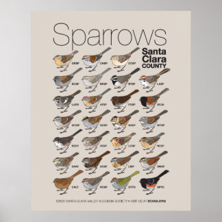 Sparrows of Santa Clara County Poster