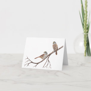 Sparrows on a Branch Note Card