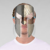 Spartan Helmet Face Shield (Insitu)