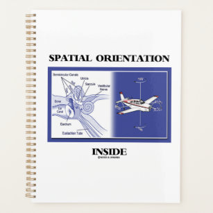 Spatial Orientation Inside Ear Anatomy Plane Planner