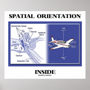 Spatial Orientation Inside (Ear Anatomy Plane) Poster