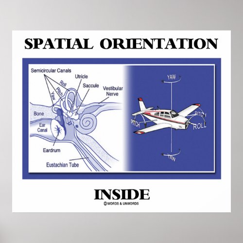 Spatial Orientation Inside  Ear Anatomy Plane Poster