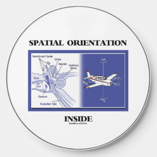 Spatial Orientation Inside Ear Anatomy Plane Wireless Charger
