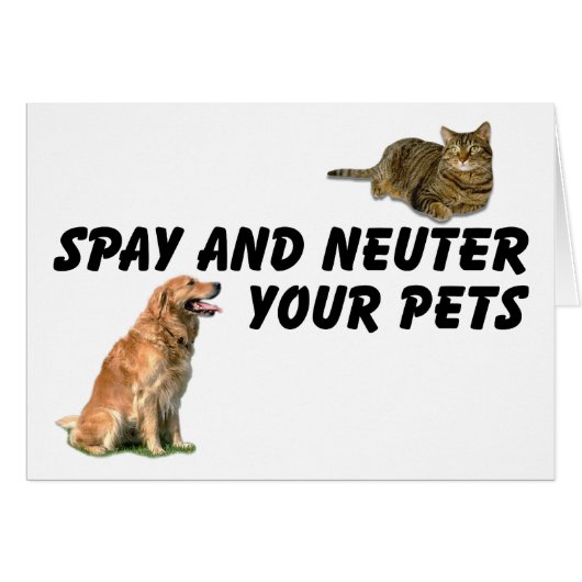 Spay and Neuter Cards (Front Horizontal)
