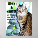 Spay And Neuter (or I Hide Your Birth Control) Poster at Zazzle