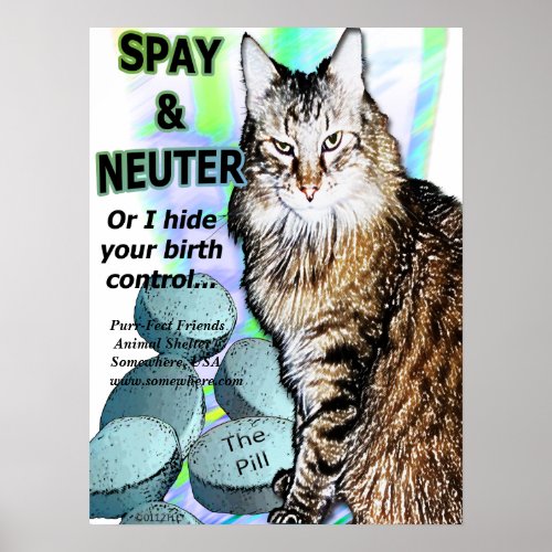 Spay and Neuter Or I hide your birth control Poster