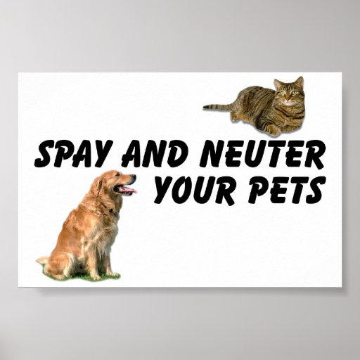 Spay and Neuter Poster | Zazzle