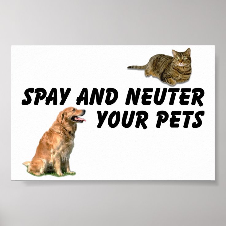 Spay and Neuter Poster Zazzle