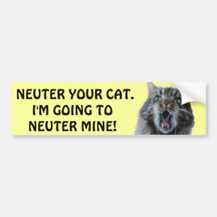 Spay and Neuter your cat. Shocked Kitty Bumper Sticker