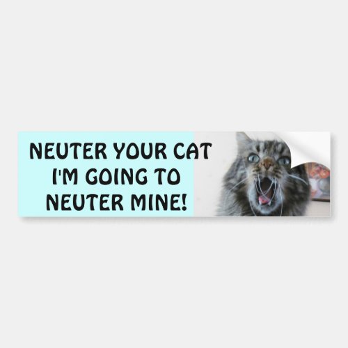 Spay and Neuter your cat Shocked Kitty Bumper Sticker