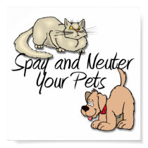 Spay and Neuter Your Pets Poster