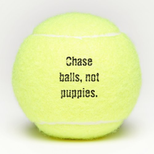 Spay  Neuter 2 _ Tennis Ball