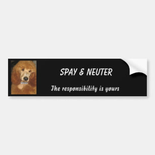 Spay & Neuter bumper sticker