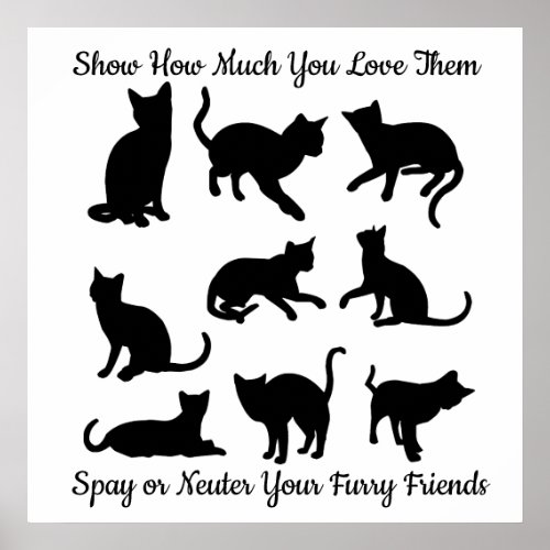 Spay or Neuter Poster