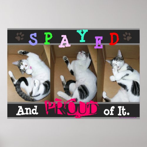 Spayed and Proud of It Poster