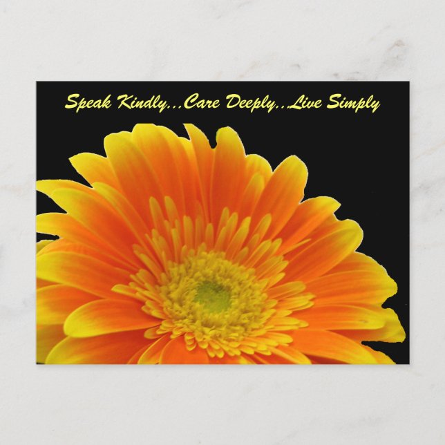 Speak Kindly Gerbera Postcard (Front)