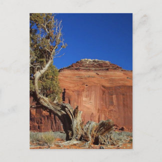 Spearhead Mesa At Monument Valley Postcard