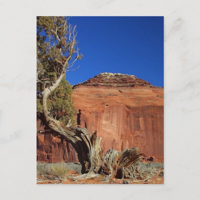 Spearhead Mesa At Monument Valley Postcard (Front)