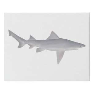 Speartooth Shark Faux Canvas Print