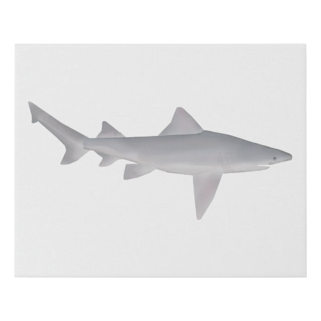 Speartooth Shark Faux Canvas Print (Front)