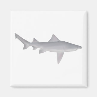 Speartooth Shark Magnet