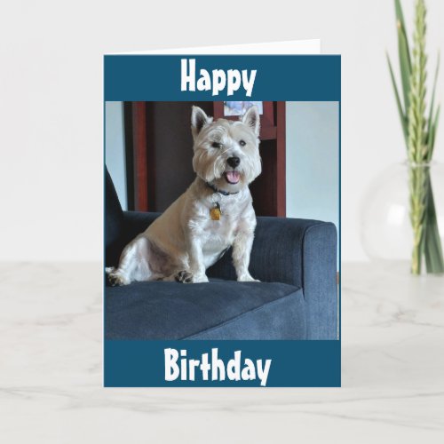 SPECIAL 50th BIRTHDAY WISHES FROM A SPECIAL PUPPY Card