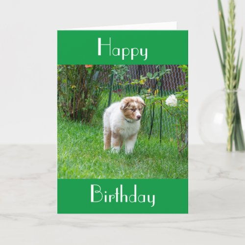 SPECIAL 70th BIRTHDAY WISHES FROM A SPECIAL PUPPY Card