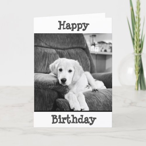 SPECIAL BIRTHDAY WISHES FROM A SPECIAL PUPPY CARD